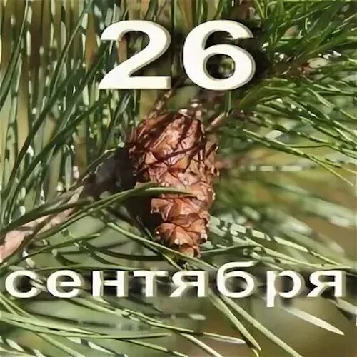 https://upforme.ru/uploads/001c/87/08/3/933429.jpg