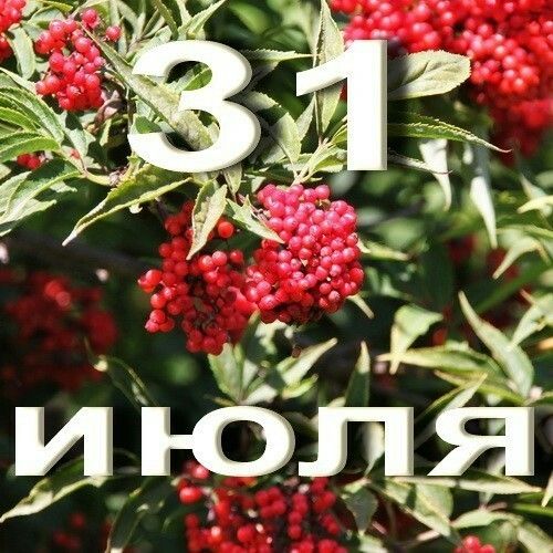 https://upforme.ru/uploads/001c/87/08/3/934402.jpg