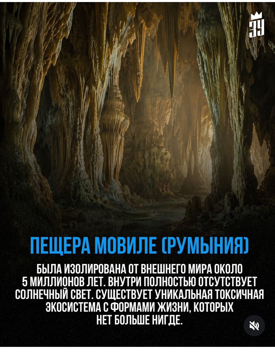 https://upforme.ru/uploads/001c/87/08/3/934681.jpg