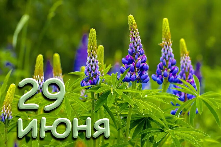 https://upforme.ru/uploads/001c/87/08/3/93757.jpg