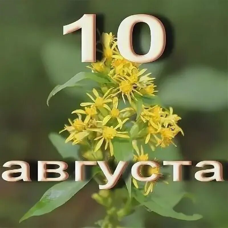 https://upforme.ru/uploads/001c/87/08/3/938721.jpg