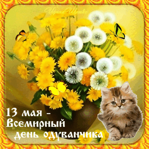 https://upforme.ru/uploads/001c/87/08/3/941032.gif