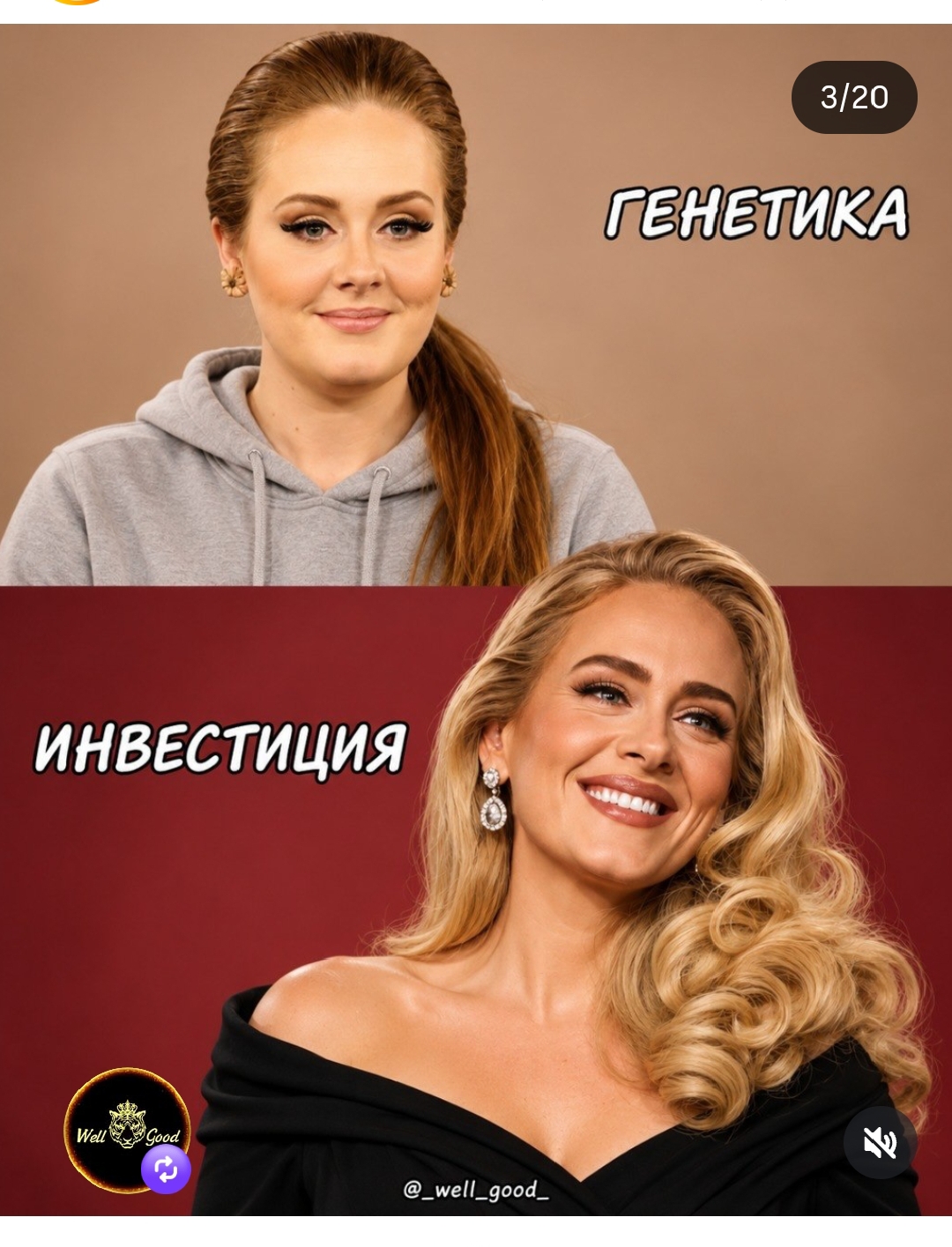 https://upforme.ru/uploads/001c/87/08/3/947530.jpg