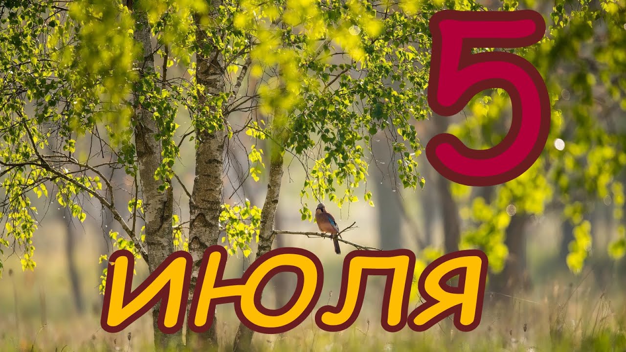 https://upforme.ru/uploads/001c/87/08/3/948516.jpg