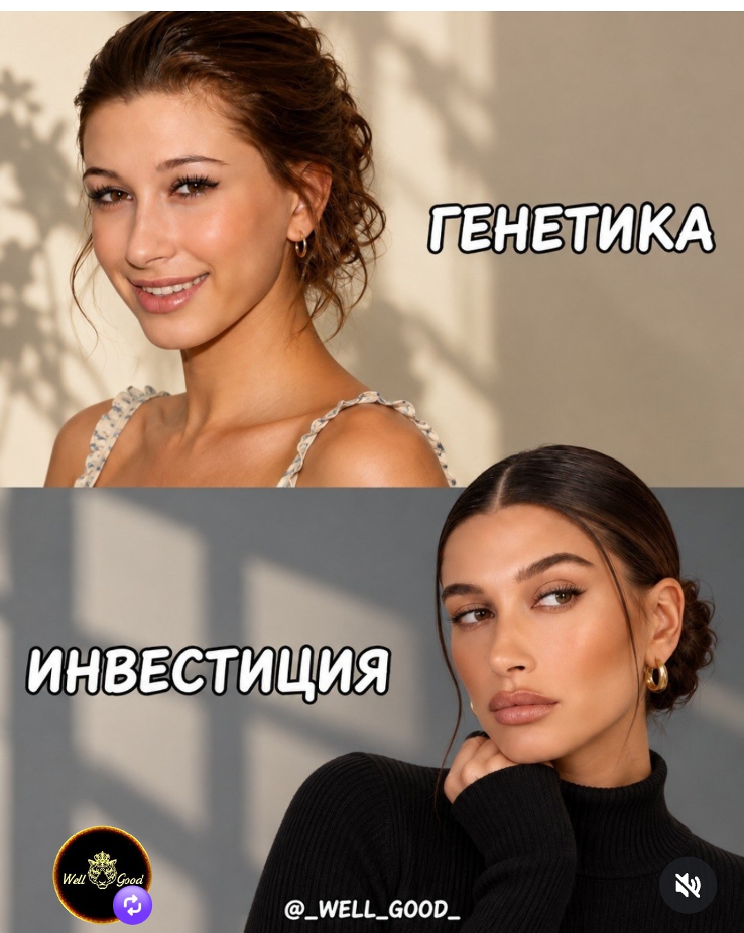 https://upforme.ru/uploads/001c/87/08/3/952139.jpg