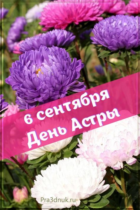 https://upforme.ru/uploads/001c/87/08/3/95216.jpg