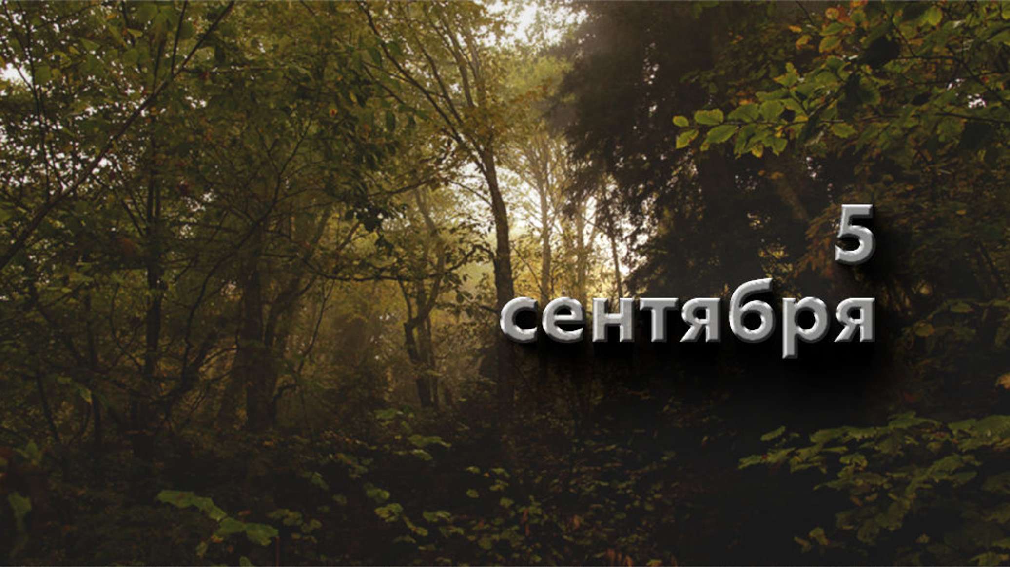 https://upforme.ru/uploads/001c/87/08/3/96588.jpg