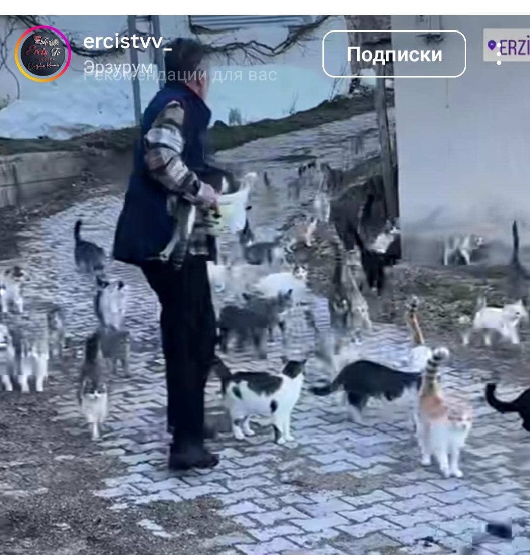 https://upforme.ru/uploads/001c/87/08/3/968728.jpg