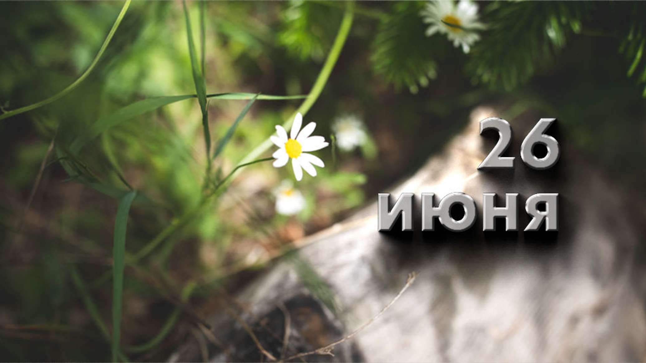 https://upforme.ru/uploads/001c/87/08/3/971519.jpg
