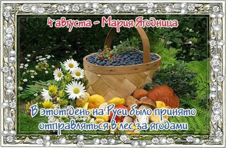https://upforme.ru/uploads/001c/87/08/3/978023.jpg