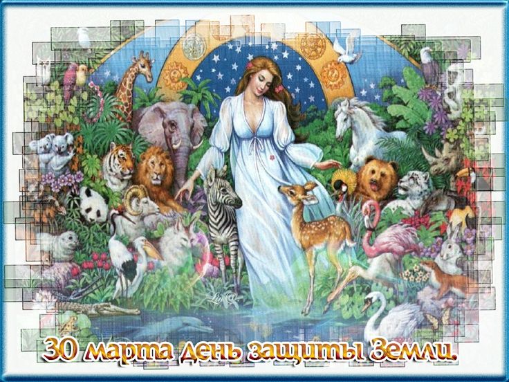 https://upforme.ru/uploads/001c/87/08/3/982340.jpg