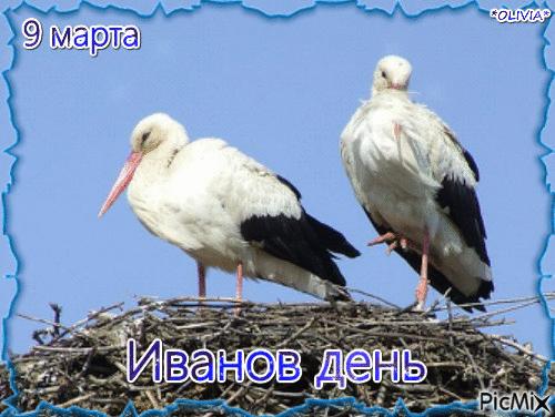 https://upforme.ru/uploads/001c/87/08/3/984656.jpg