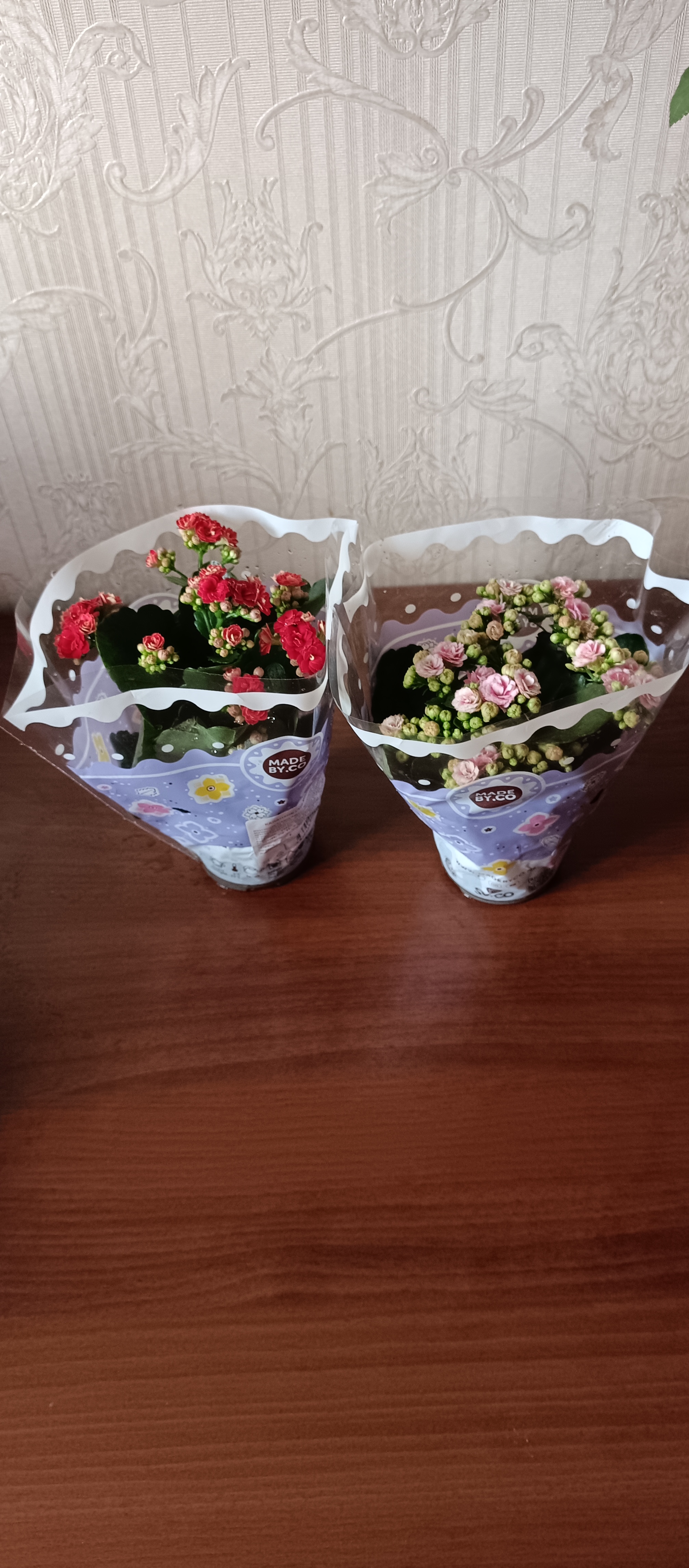 https://upforme.ru/uploads/001c/87/08/3/987315.jpg