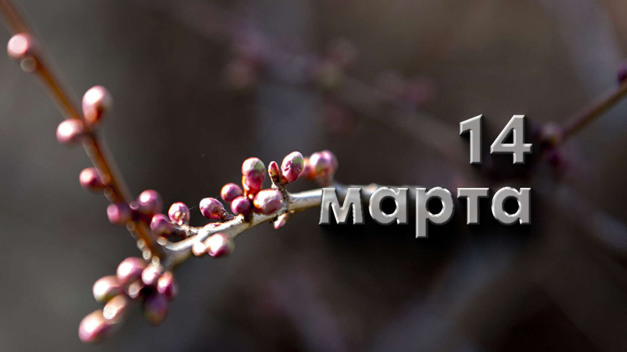 https://upforme.ru/uploads/001c/87/08/3/988237.jpg