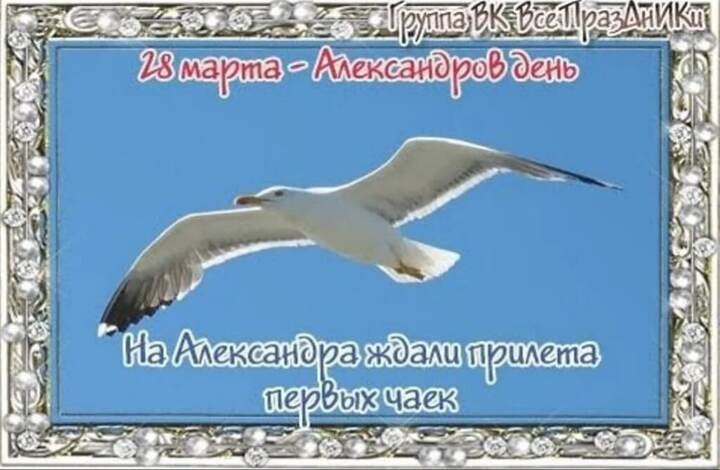 https://upforme.ru/uploads/001c/87/08/3/993682.jpg