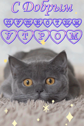 https://upforme.ru/uploads/001c/87/08/3/997633.gif