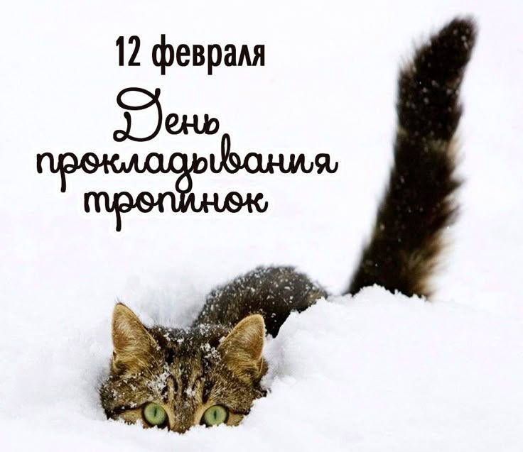 https://upforme.ru/uploads/001c/87/08/3/997993.jpg
