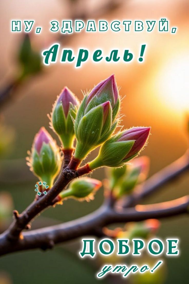 https://upforme.ru/uploads/001c/87/08/3/998170.jpg