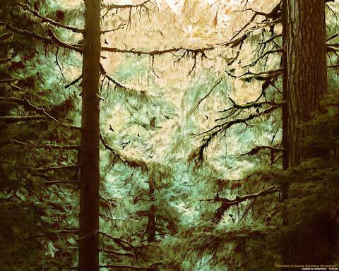 ���� � ����� �� ������ � ������