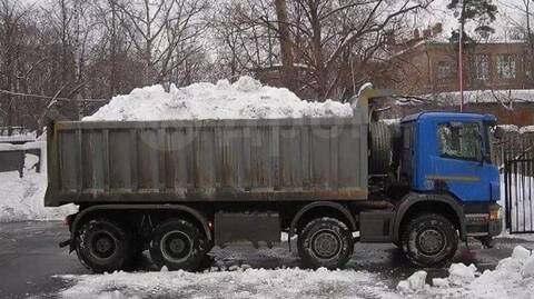 ������ ���� !