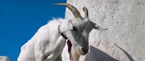 ����� ����: ���������