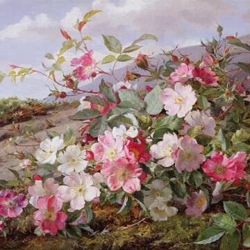 ������ ���� !