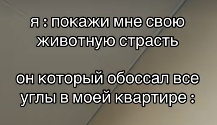 https://upforme.ru/uploads/001c/87/4b/91/573380.jpg