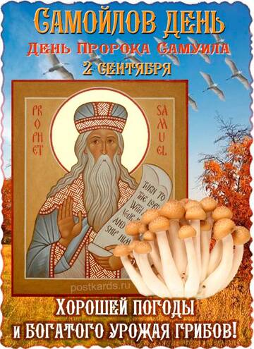 https://upforme.ru/uploads/001c/87/51/3/t290957.jpg
