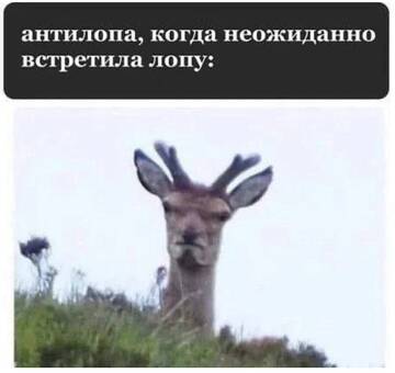 https://upforme.ru/uploads/001c/89/a0/5/t352047.jpg
