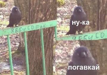 https://upforme.ru/uploads/001c/89/a0/5/t592730.jpg