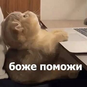 https://upforme.ru/uploads/001c/89/e7/2/t484726.jpg