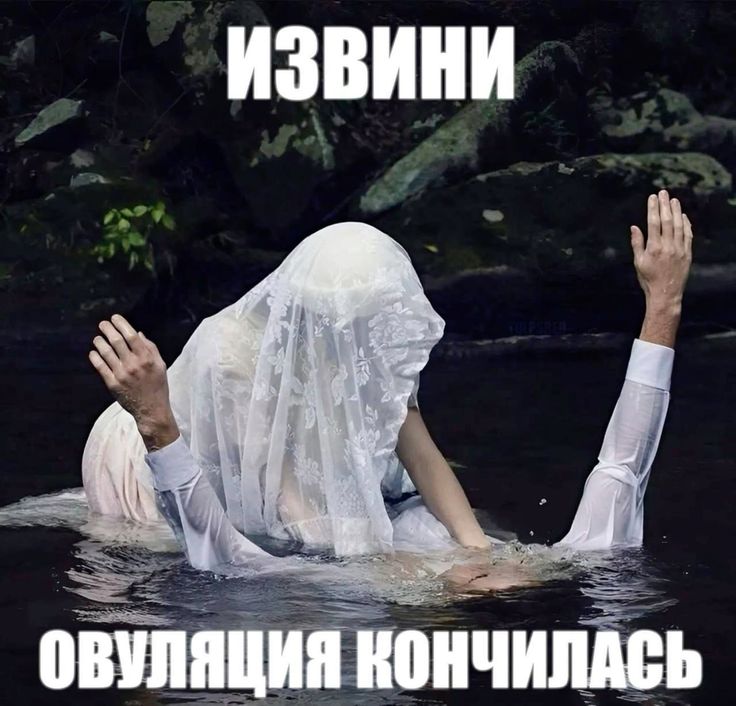 https://upforme.ru/uploads/001c/8a/88/76/76925.jpg