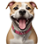 https://upforme.ru/uploads/001c/8a/8b/2/561200.png