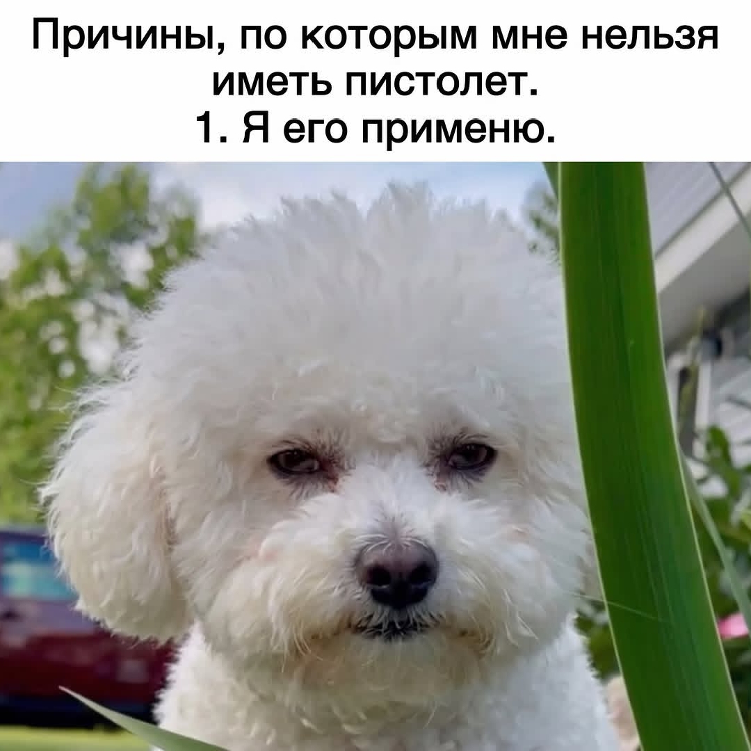 https://upforme.ru/uploads/001c/8b/a8/546/871287.jpg