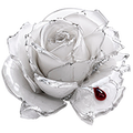 https://upforme.ru/uploads/001c/8d/f9/2/t565166.png