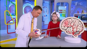 https://upforme.ru/uploads/001c/90/82/18/t153058.png