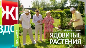 https://upforme.ru/uploads/001c/90/82/18/t241344.png