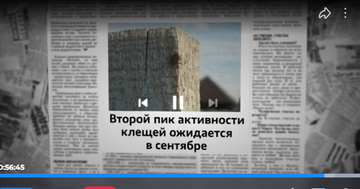 https://upforme.ru/uploads/001c/90/82/18/t385924.png