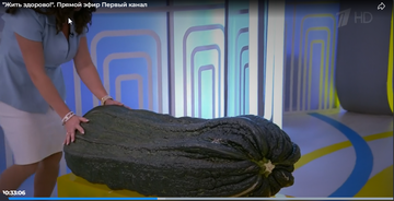 https://upforme.ru/uploads/001c/90/82/18/t586165.png