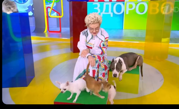 https://upforme.ru/uploads/001c/90/82/18/t636004.png