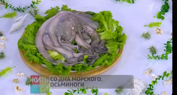 https://upforme.ru/uploads/001c/90/82/18/t66784.png