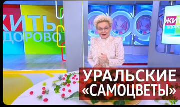 https://upforme.ru/uploads/001c/90/82/18/t746796.png