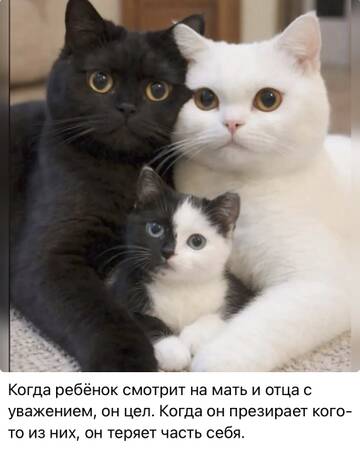 https://upforme.ru/uploads/001c/90/82/20/t495855.jpg