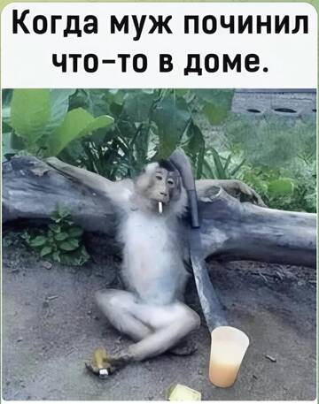 https://upforme.ru/uploads/001c/90/82/20/t531570.jpg