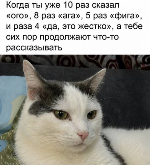 https://upforme.ru/uploads/001c/90/82/20/t843081.jpg