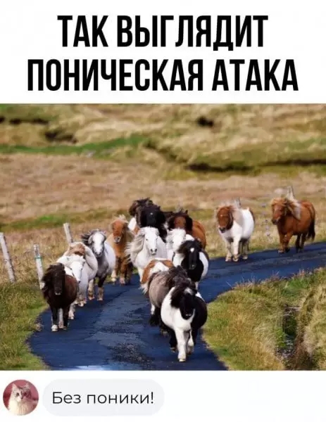 https://upforme.ru/uploads/001c/90/82/5/t11738.jpg