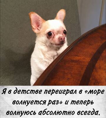 https://upforme.ru/uploads/001c/90/82/5/t378345.jpg