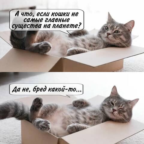 https://upforme.ru/uploads/001c/90/82/5/t398657.jpg