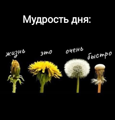 https://upforme.ru/uploads/001c/90/82/5/t50787.jpg