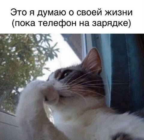 https://upforme.ru/uploads/001c/90/82/5/t646947.jpg